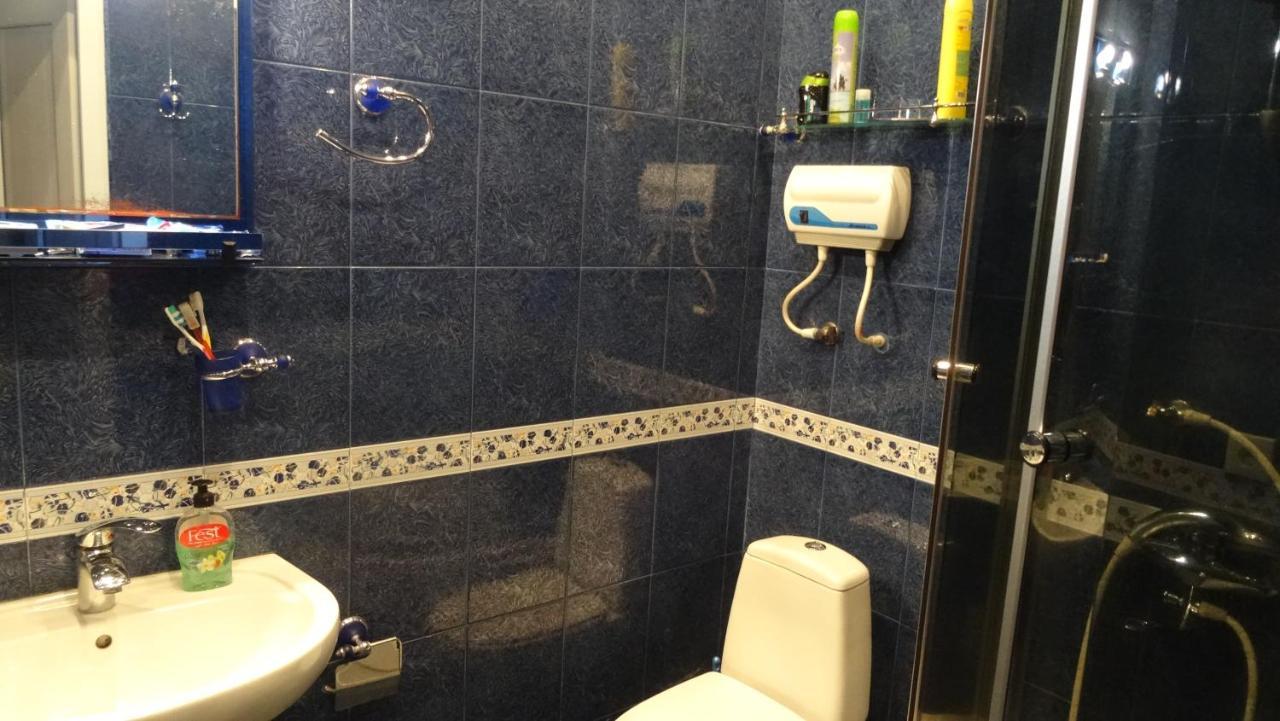 Apartment Vake-Saburtalo Τυφλίδα Δωμάτιο φωτογραφία