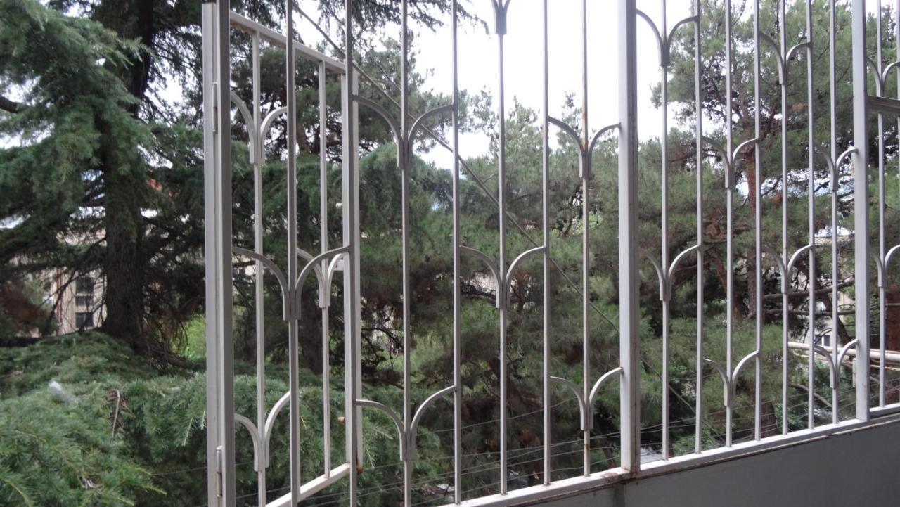 Apartment Vake-Saburtalo Τυφλίδα Εξωτερικό φωτογραφία